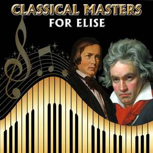 Musical Moment No. 3 in F Minor, Op. 94, D. 780: Allegro Moderato