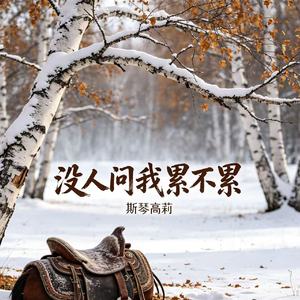 没人问我累不累