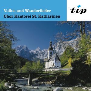 Zogen einst fünf wilde Schwäne