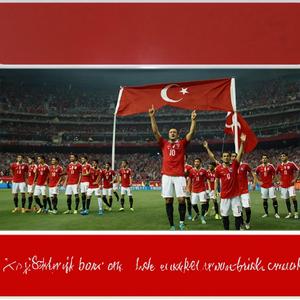 Türkiye futbol takımını destekliyorum