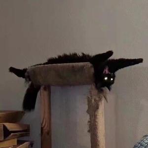 最佳辩手 (Prod By RobalBoI)