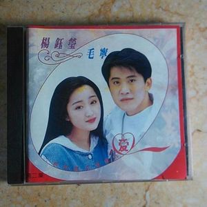 杨钰莹、毛宁 - 心雨 (君悦千千憾 Extended Remix)