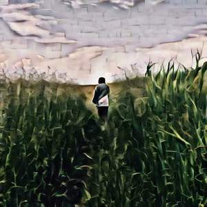 ホワイトムーンライト