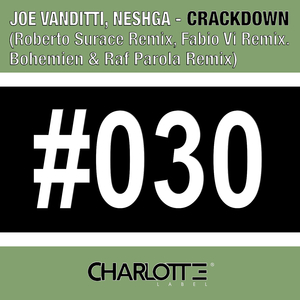 Crackdown (Fabio Vi Remix)