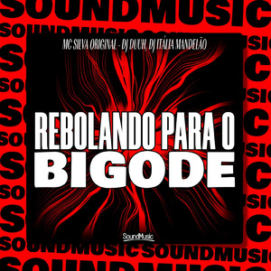 REBOLANDO PARA O BIGODE