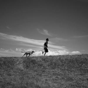 绿瓶里的青春 伴奏