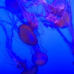 下雨天（下雨天了怎么办我好想你）