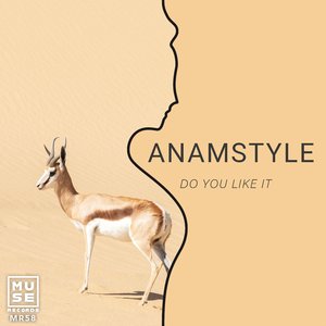 DO YOU LIKE IT (Original mix)