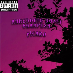 Pícaro
