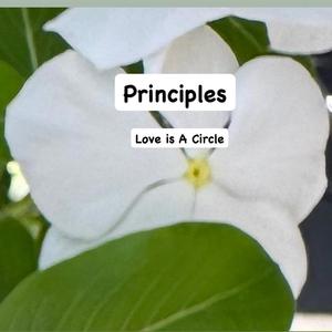 Principles