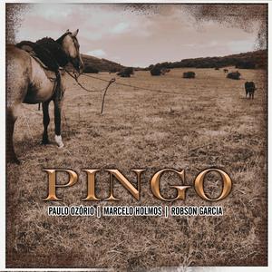 Pingo