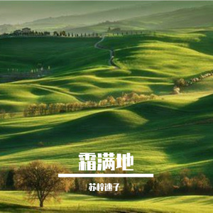 霜满地