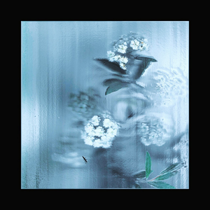 ghost flora