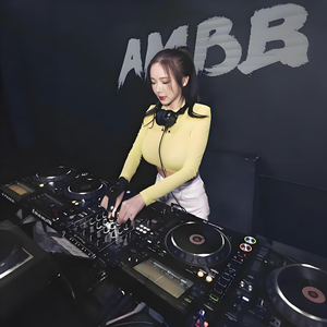 顶级3D环绕 车载低音炮