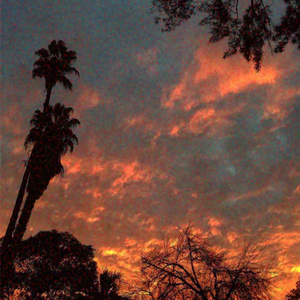 B U T T E R F L Y(Prod.By G23)