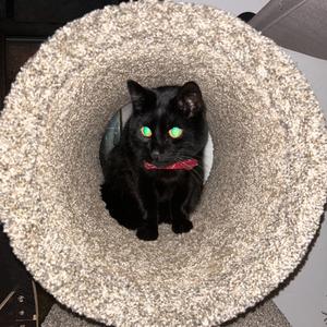 secrets (cross our hearts)