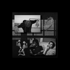 Veleno (feat. bassReaper)