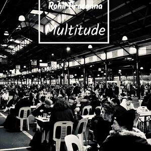 Multitude
