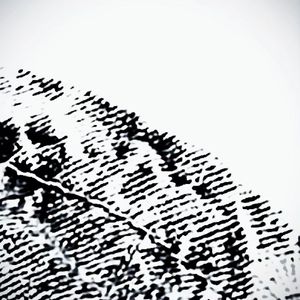 月光会融化雪吗/反正阳光会