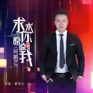 求求你原谅我 (DJ版)