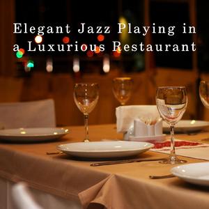 A Meal is an Experience