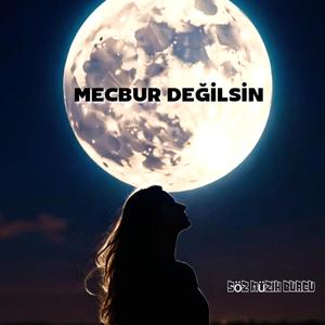 Mecbur değilsin