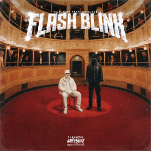 FLASH BLINK
