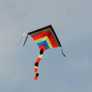 Patang