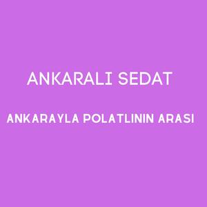 Ankarayla Polatlının Arası