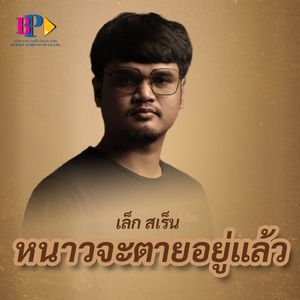 หนาวจะตายอยู่แล้ว (Remix)