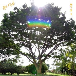 金剛般若羅蜜多