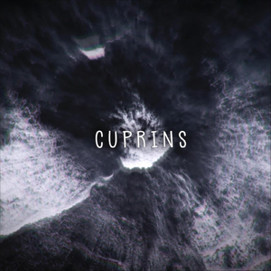 Cuprins
