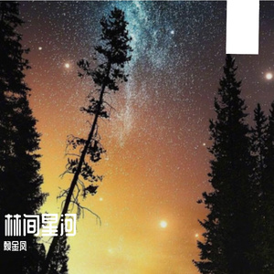 林间星河