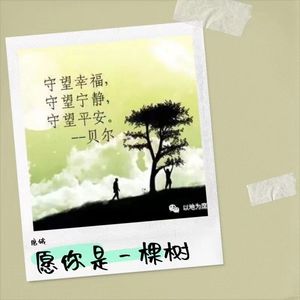 愿你是一棵树