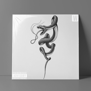 [FREE]-Flower丨Travis Scoot Type Beat