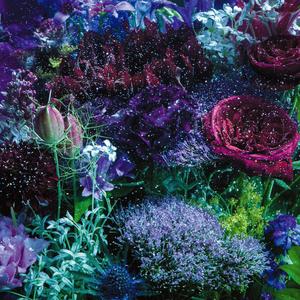 星屑ビーナス【piano ver】