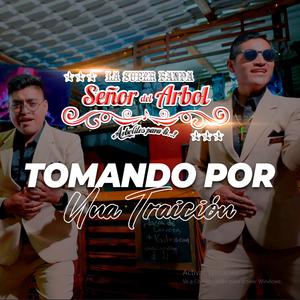 TOMANDO POR UNA TRAICION