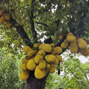 时光慢煮温柔-梓耘说