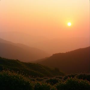 Adıyaman’ın bağlarında, by @revolutionaryscales0530