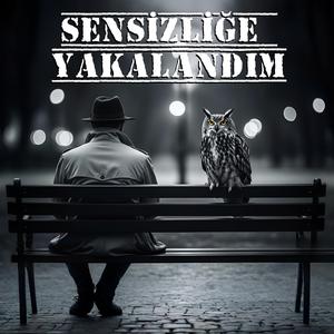 Sensizliğe Yakalandım