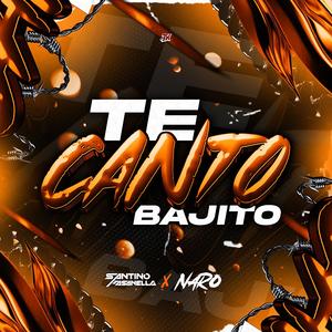 CANTO BAJITOX (feat. NaroDJ) (Radio Edit)