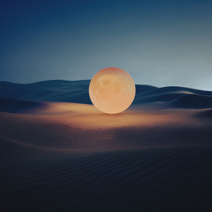 A Field That Breathes