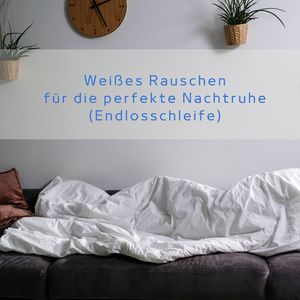 Melodie der Nachtstille (Endlosschleife)