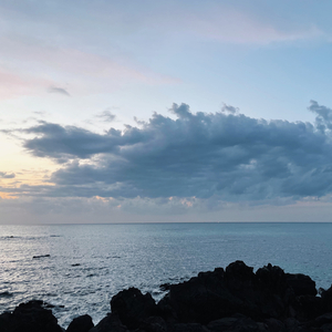 명상 (May Be Forest Ver.)