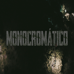 Monocromático