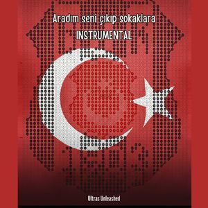 Aradım Seni Çıkıp Sokaklara (INSTRUMENTAL)