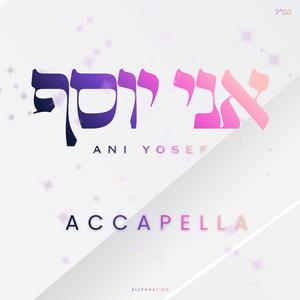 Ani Yosef