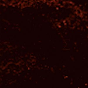 Historical Amnesia, Pt. 2