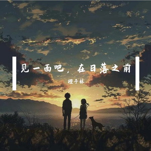 见一面吧，在日落之前