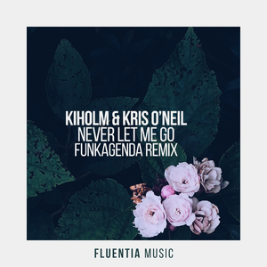 Never Let Me Go (Funkagenda Extended Remix)